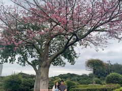 -东莞植物园