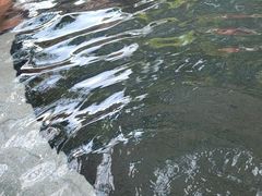-碧水湾温泉