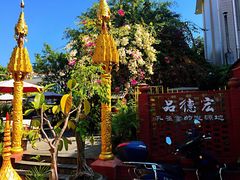 -品德宏·孔雀宴的发源地(金塔园店)