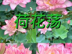 -朝阳公园