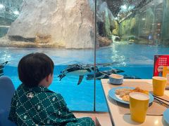 -帝企鹅自助餐厅•儿童岛•真企鹅(长隆企鹅酒店)