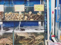 水产区-蚝专家(北滘店)