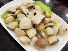海白螺-刘记糟粕醋海鲜烧烤