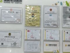-瑞鹏宠物医院·超声·骨科·奇麟分院(蜀都万达店)