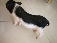 -平行世界·猫咖(首经贸店)