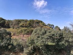 -北仑森林植物园