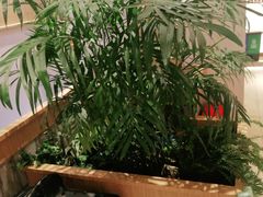 -皖香览约·徽菜(吴江吾悦店)