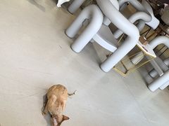 -藏猫猫咖啡主题馆(中央大道店)