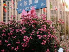 -南京国际青年文化中心
