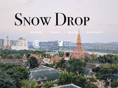 -西双版纳原始森林公园