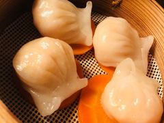 -瓦库茶馆17号(海汇港店)