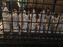 -哈利波特魔法世界