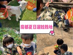 -前小桔亲子创意农场·草莓采摘·露营烧烤