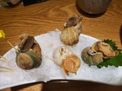 海螺-乐亭日本料理(彩虹本店)