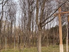 -清真马杰山牛肉汤馆