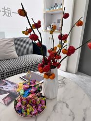 -MIDA蜜哒•科技逆龄美肤连锁