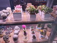 -中国石化十里河加油站