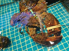 -驻海渔市(置信店)