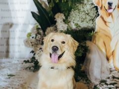 -柠檬花院烤肉·围炉煮茶·草坪团建·生日派对(三圣乡店)