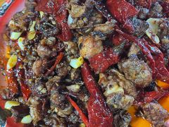 -柴窝堡22号辣子鸡·传承新疆菜