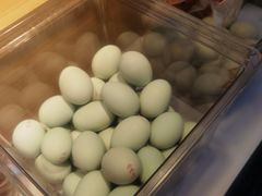 -高新活力汇Vitality