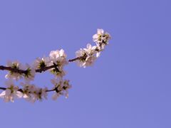 -颐和园