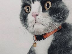 -黑骏画室·深圳美术中高考黄埔军校