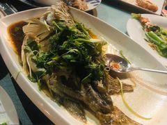 -沙龙酒家