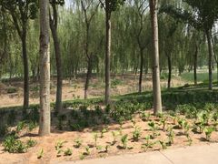 -秀水公园
