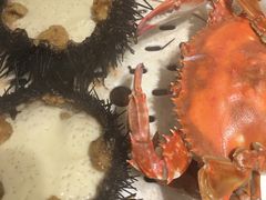 -马路边上·小海鲜烧烤(八一路店)