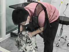 -爱洗澡的猫(望京店)