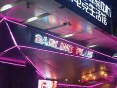 -Darling Queen·Mini·Live·House