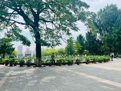 -莲花池公园