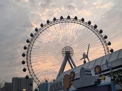 -海合安武汉极地海洋公园