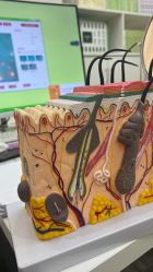 -凡碧诗毛孔清洁收细