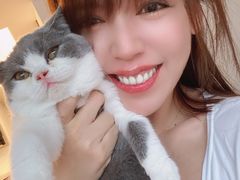 -糯米喵星人总部直营旗舰店·猫舍·幼猫出售