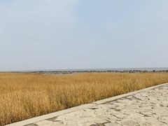 -南汇嘴观海公园