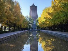 -玲珑塔公园