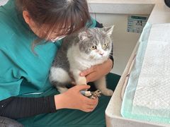 -瑞派宠物医院·犬猫全科·猫友好(宾水西道店)