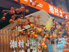 -湘村小灶·地道长沙菜·本地人优选(万家丽路店)