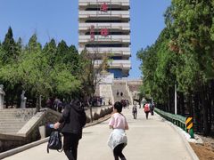 -原山国家森林公园