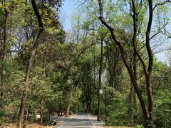 -岳麓山风景名胜区