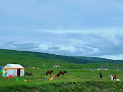 -青海湖国家重点风景名胜区