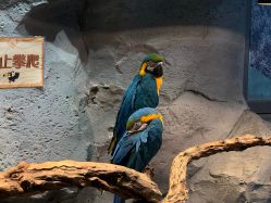 -Zoolung Zoolung动物主题公园(海信广场店)