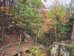 -黄陂区野村谷景区