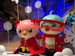 -杭州开元森泊度假乐园