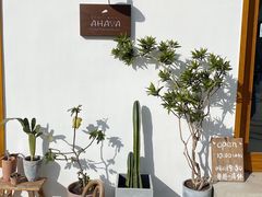 -AHAVA·Fang Baking Studio