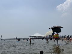 -碧海金沙