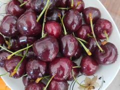 -东方鼎信农副产品交易中心