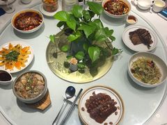 -眉州东坡(团结湖店)
